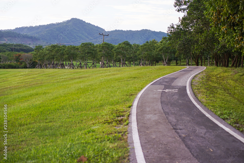 Bicycle lanes or Bike lanes or in the park Chiang rai, Thailand