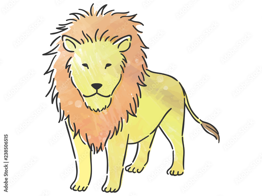 Obraz premium 動物 ライオン