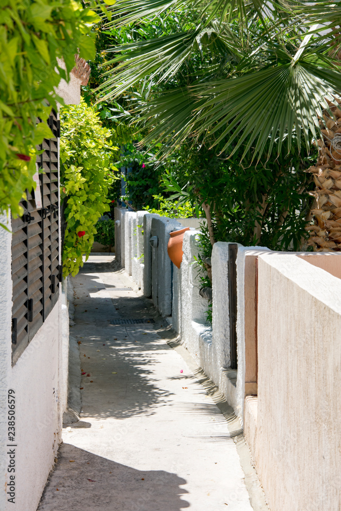 narrow street, stone white fence, clay jug, thickets of flowering shrubs, Cyprus