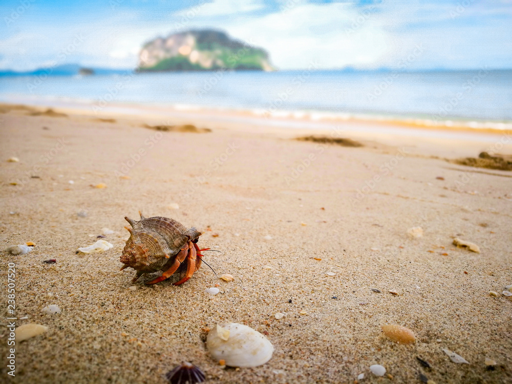 Koh Yao island is locate in the middle of Phang nga , Phuket and Krabi , Thailand , Asia Koh Yao island is locate in the middle of Phang nga , Phuket and Krabi , Thailand , Asia