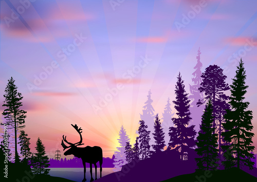 deer silhouette in forest at lilac sunset