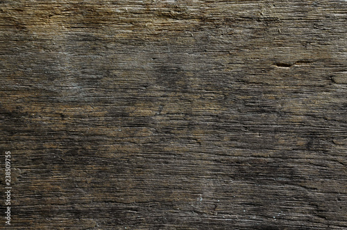 Old wood texture background