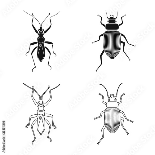 Isolated object of insect and fly symbol. Set of insect and element vector icon for stock. © Svitlana