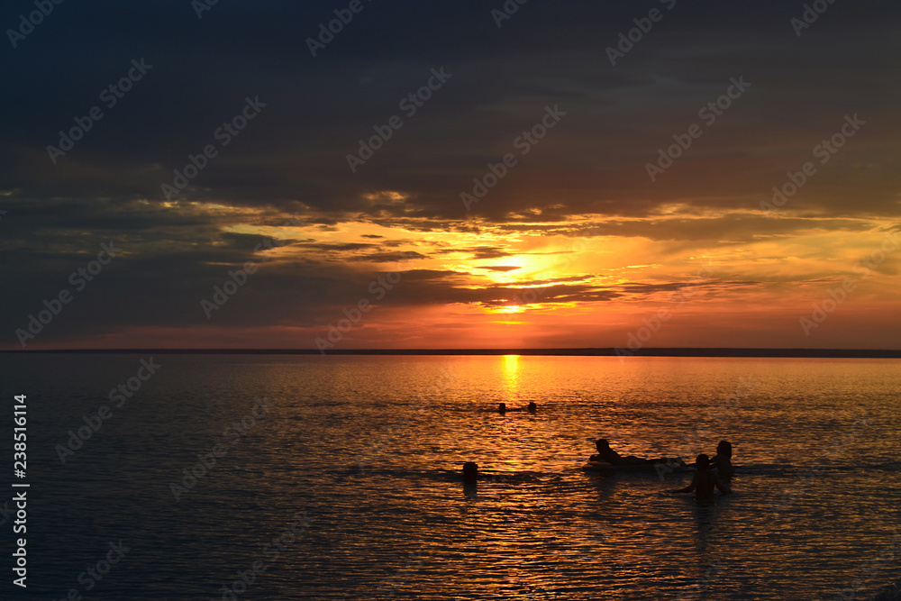 Company swimming in sunset over the sea