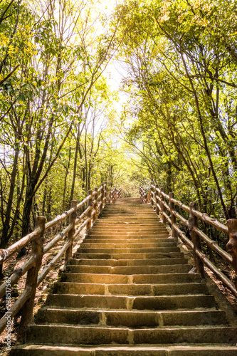 Path in an Asian park in China / Asia - National park - Stairs in a Park © MichaelStabentheiner