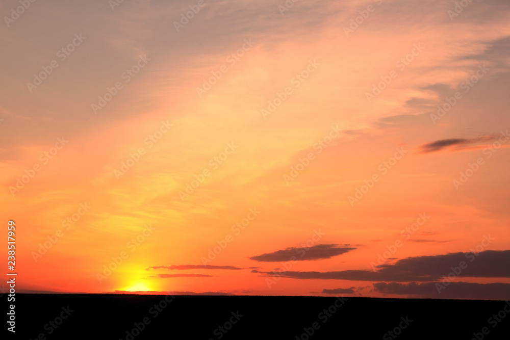 Orange sunset in summer