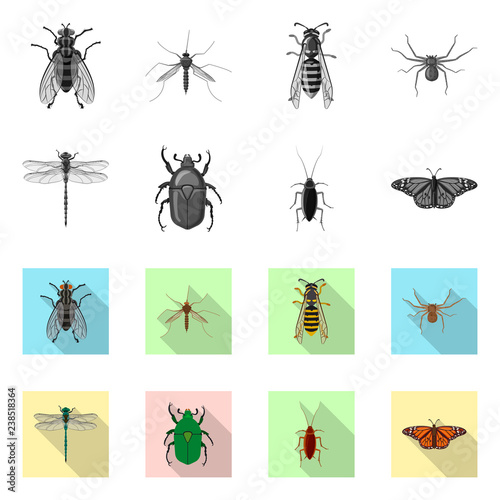 Isolated object of insect and fly sign. Set of insect and element stock vector illustration.