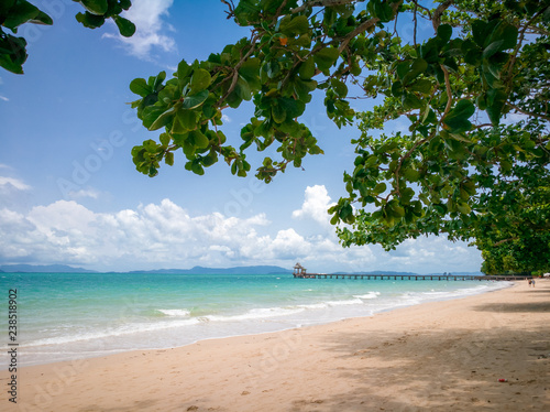 Fototapeta Naklejka Na Ścianę i Meble -  Atmosphere on the morning have green tree branch , clear water and cloudy sky at Koh Yao Yai - Koh Yao island is locate in the middle of Phang nga , Phuket and Krabi , Thailand , Asia