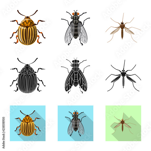 Vector illustration of insect and fly logo. Collection of insect and element stock symbol for web.