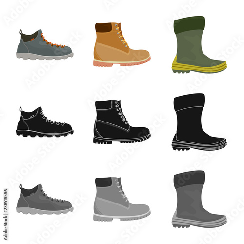 Vector illustration of shoe and footwear icon. Set of shoe and foot vector icon for stock.