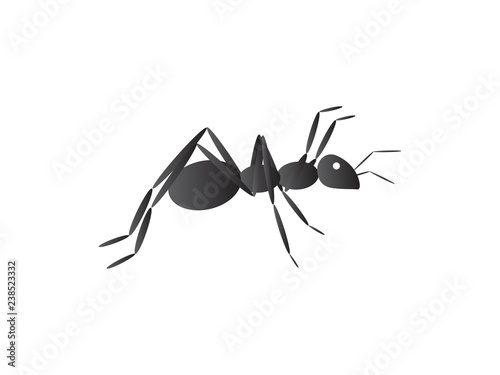 Black ant vector illustration
