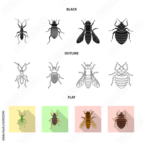 Vector design of insect and fly logo. Collection of insect and element vector icon for stock. © Svitlana