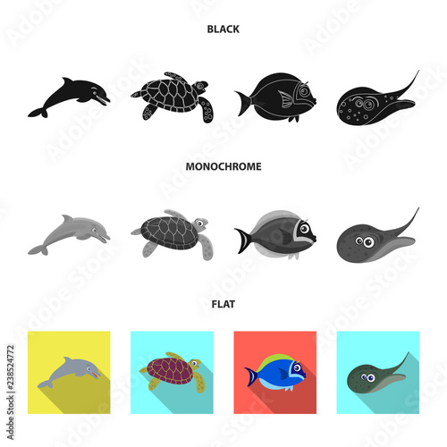 Isolated object of sea and animal logo. Set of sea and marine stock symbol for web.
