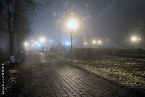 Fototapeta Naklejka Na Ścianę i Meble -  Fog in park at night by the light of street lamps
