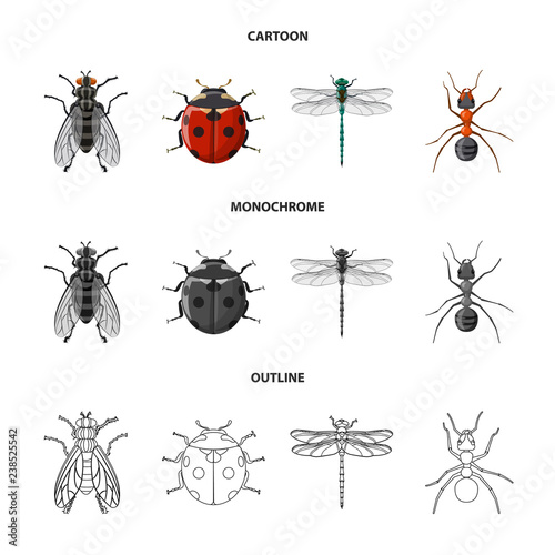 Vector illustration of insect and fly icon. Collection of insect and element vector icon for stock. © Svitlana