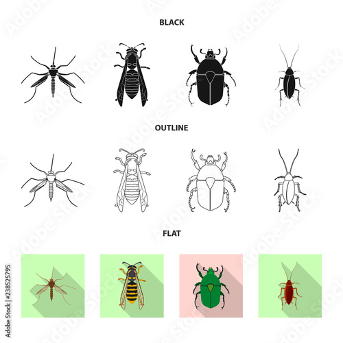 Isolated object of insect and fly icon. Set of insect and element vector icon for stock.
