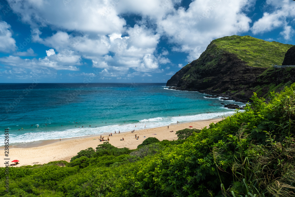 Green lush coast, blue ocean and sky with fluffy clouds. Oahu, Hawaii