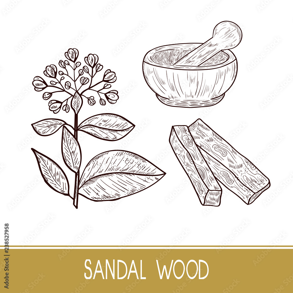 Sandalwood Powder, Sandal Wood Powder, Pure Sandalwood Powder, Packaging  Size: 25 Kg at best price in Ernakulam