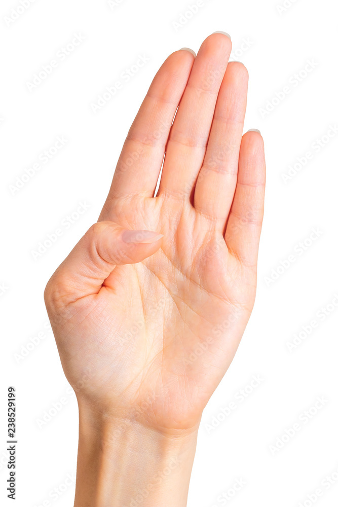 Female hand showing five fingers and palm Female hand showing five fingers and palm