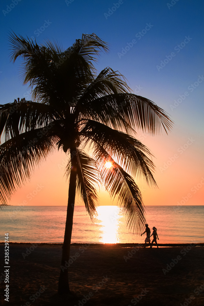 Beautiful sunset on the beach, sun goes down to the sea, two silhouettes (man and woman) under palm. Calm ambient, rest and relaxation concept. Stunning view to the horizon. Outdoors, copy space.