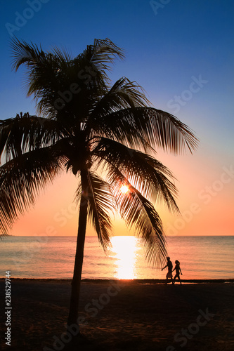 Beautiful sunset on the beach  sun goes down to the sea  two silhouettes  man and woman  under palm. Calm ambient  rest and relaxation concept. Stunning view to the horizon. Outdoors  copy space.