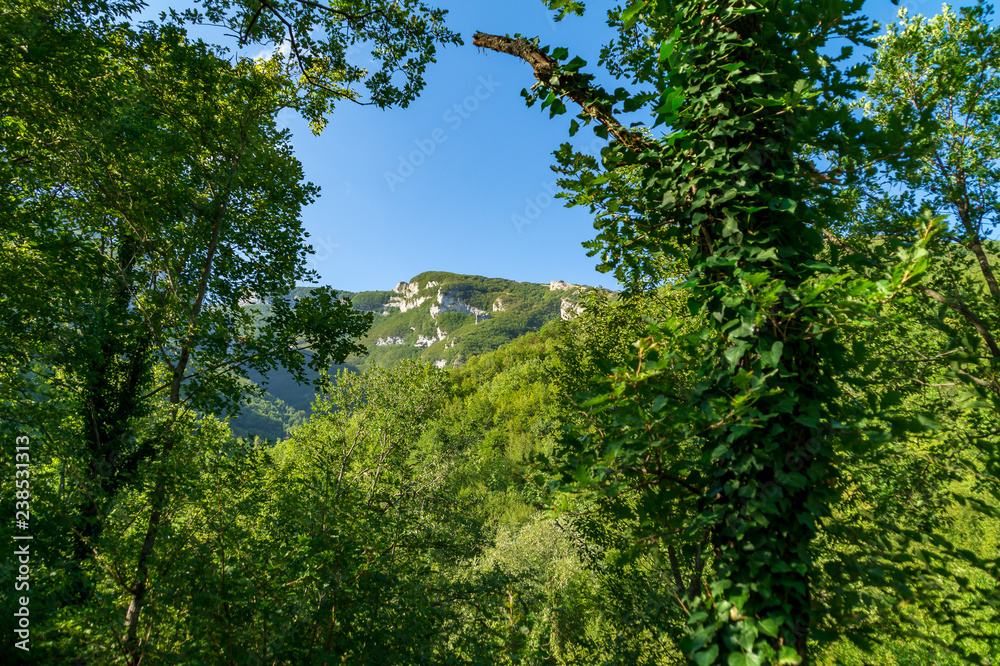 Scorcio dal sentiero 201, monte Nerone