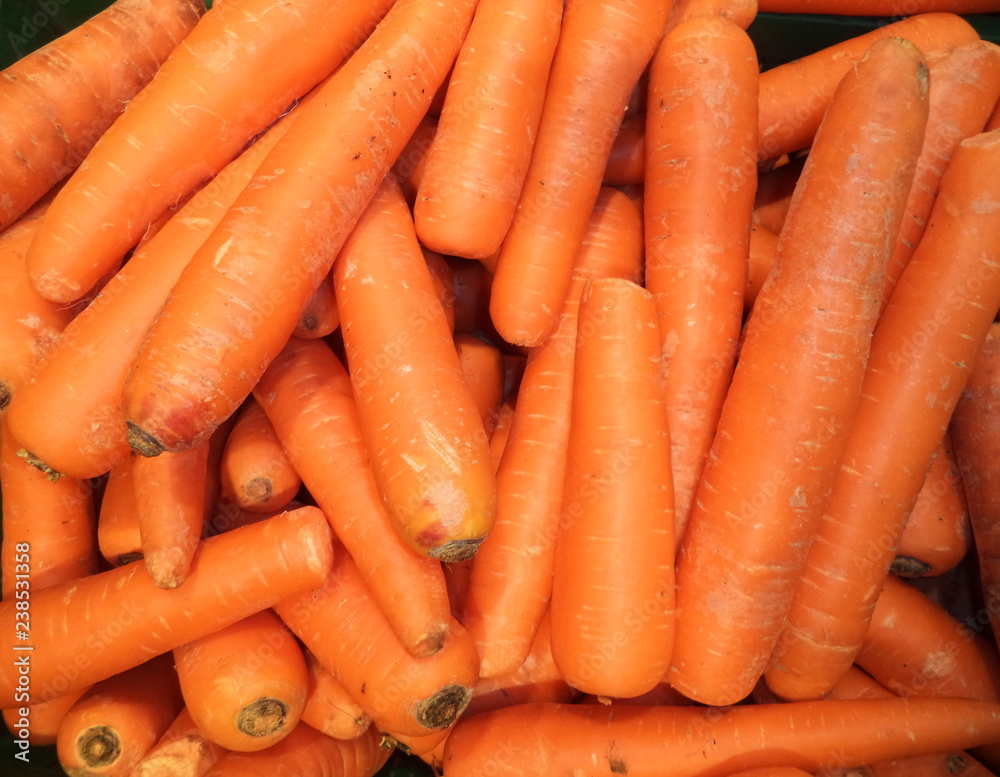 fresh washed carrots of the new crop fresh washed carrots of the new crop