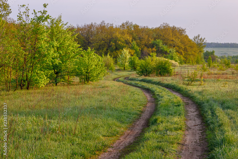 The rural ground road on the edge of the forest at the early springtime morning