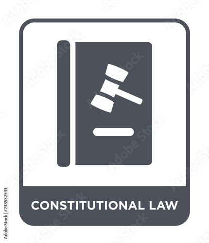 constitutional law icon vector