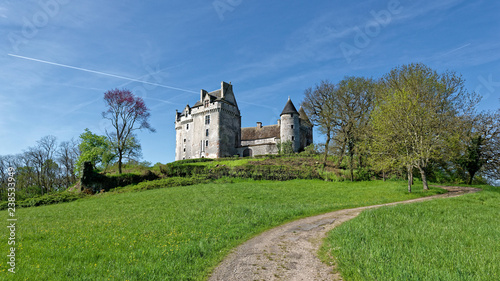 Château du Bouchet, Rosnay, parc naturel régional de la Brenne photo