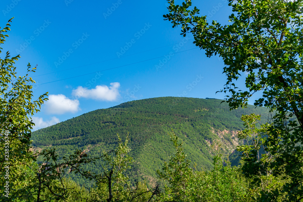 Monte visto dal sentiero 201 sul monte Nerone