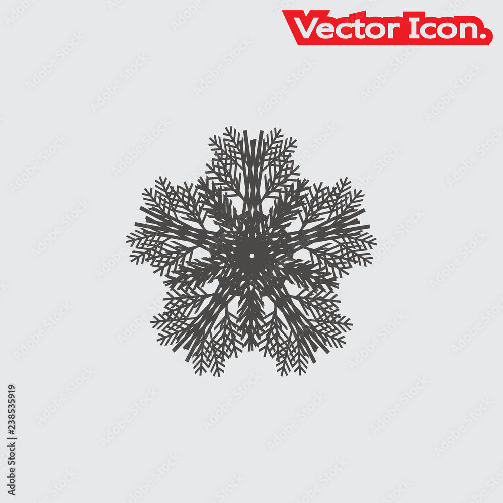 Snowflake icon isolated sign symbol and flat style for app, web and digital design. Vector illustration.