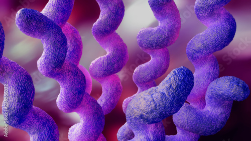 campylobacter 3d illustration photo