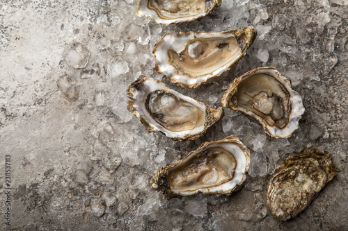 fresh raw oysters with ice on concrete background