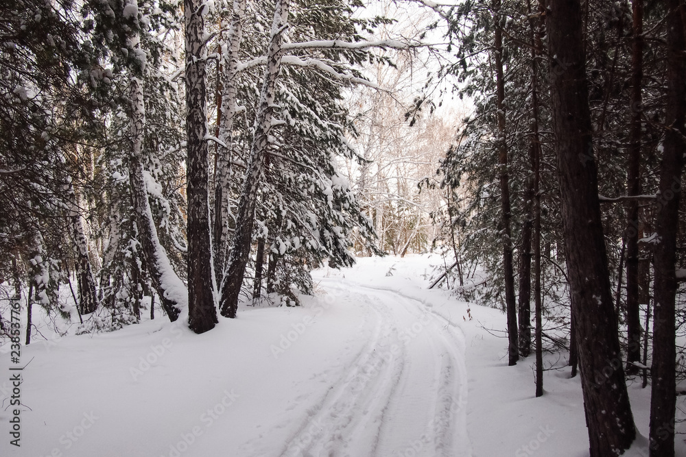 Fototapeta premium Siberia winter set