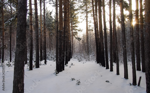 Siberia winter set