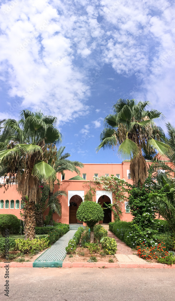 Palm trees over beautiful Moroccan houses near Marrakesh, Morocco