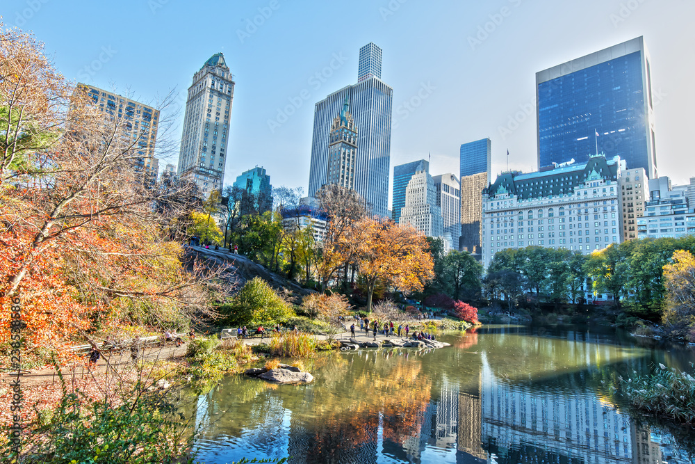 Skyscrapers and the Central Park in New York Skyscrapers and the Central Park in New York