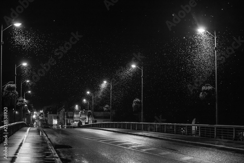 nuées d'insectes sous les lampadaires d'un pont, la nuit photo