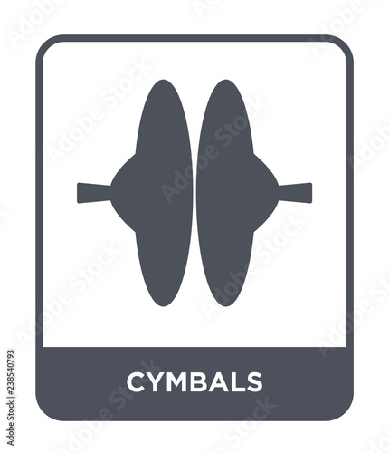 cymbals icon vector