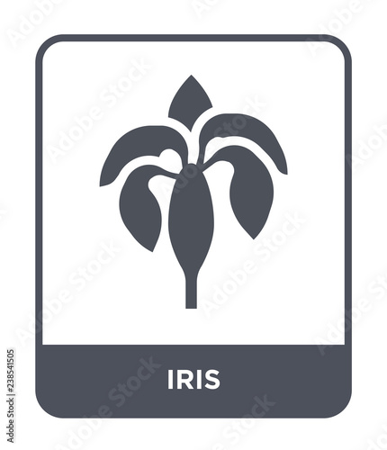 iris icon vector