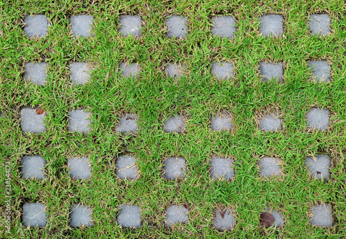 Top view of turf stone pavers covered with vibrant green grass 