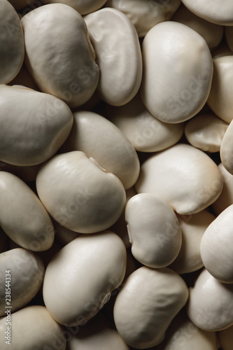 close up of raw white beans as textured background with copy space