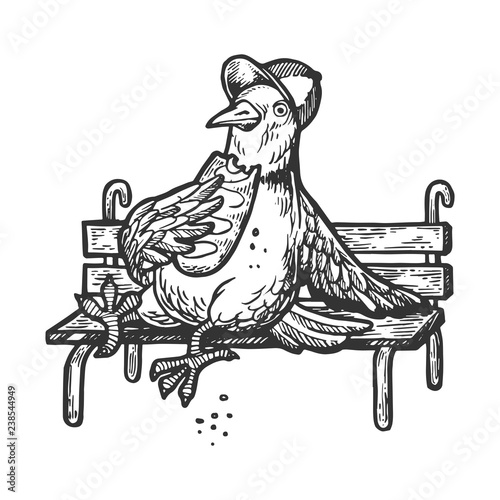 Dove pigeon sits on park bench and eats loaf of bread engraving vector illustration. Scratch board style imitation. Black and white hand drawn image.