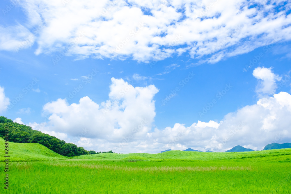 夏の曽爾高原