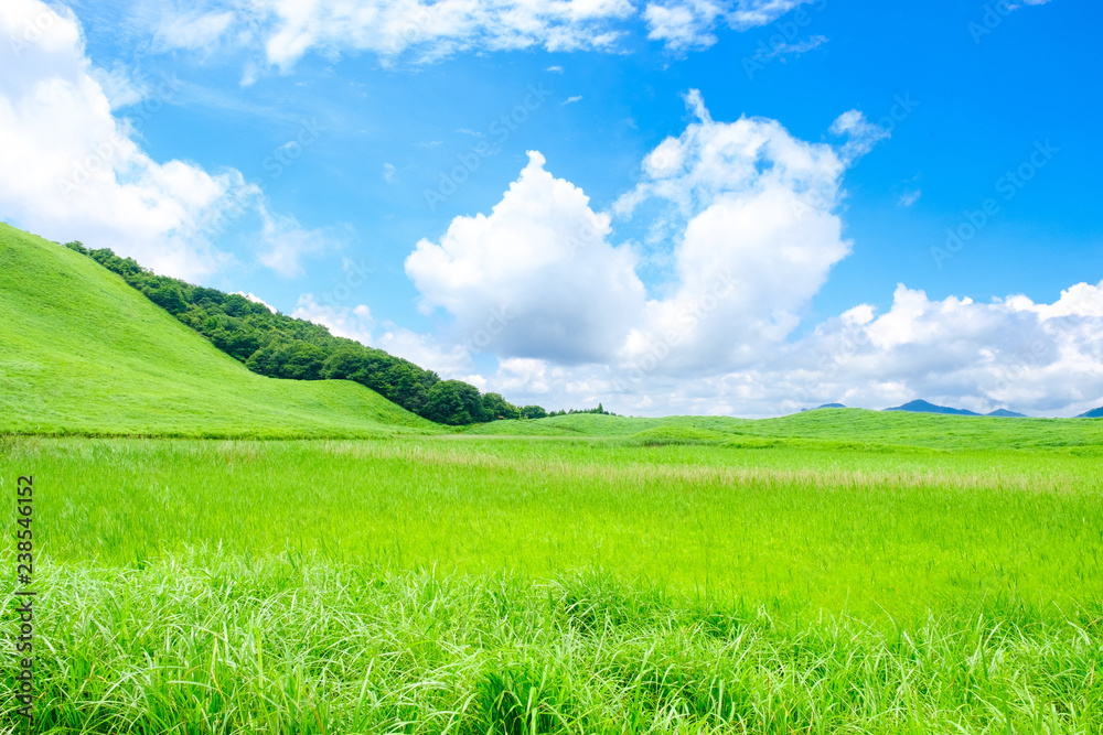 夏の曽爾高原