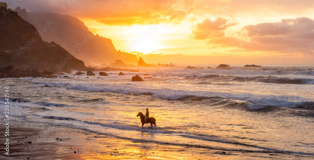 Fototapeta premium Man horse riding on sunset beach