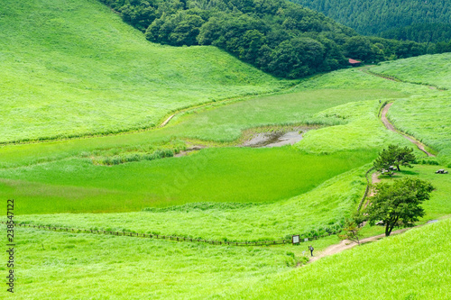 夏の曽爾高原