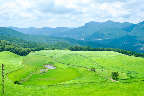 夏の曽爾高原