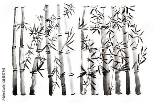 Hand drawn bamboo leaves and branch set, ink painting. Traditional dry calligraphic brush painting. (isolated on white background)